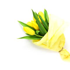 Ngày của em – hoa sinh nhật