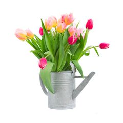 Tình yêu lớn - hoa tặng mẹ