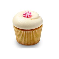 Ngàn năm đợi – hoa sinh nhật